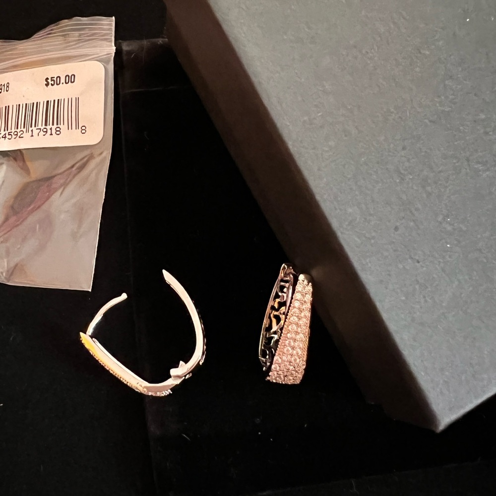 Silver Hoop Earrings. New